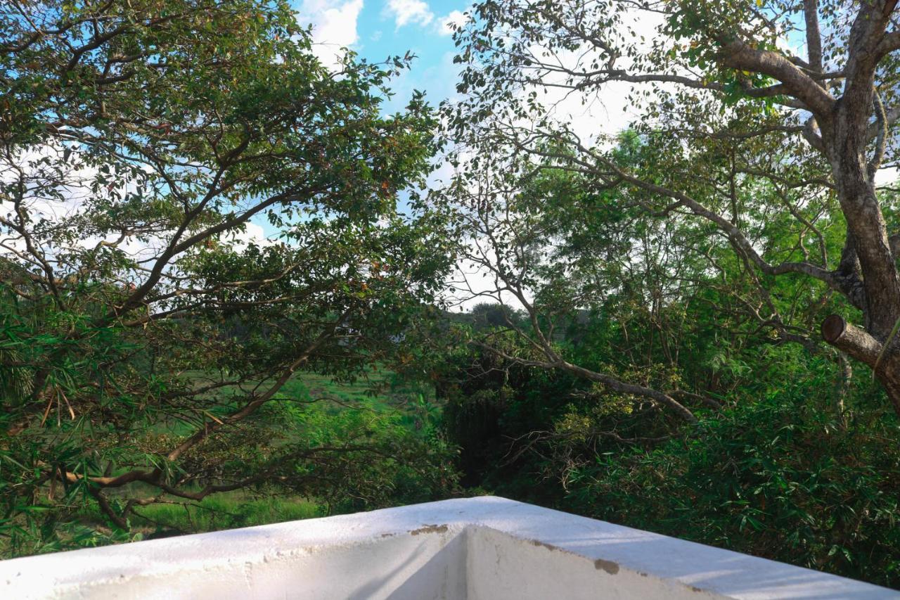 Divine Villa Anuradhapura Ngoại thất bức ảnh